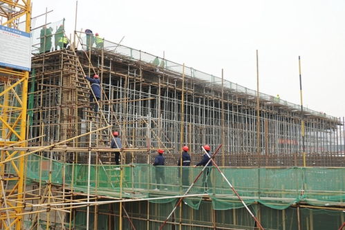 跑出加速度 河南省重點(diǎn)工程南曹污水處理廠箱體首塊頂棚封頂，建筑智能化工程同步推進(jìn)